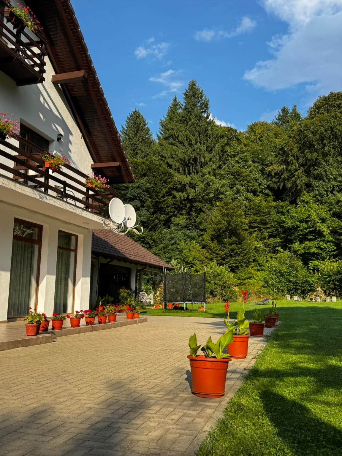 Pensiunea Valea Lisei